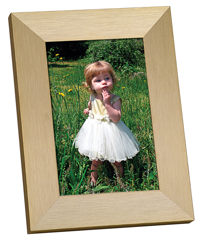 (image for) Gold Anodized Aluminum Picture Frame - 10 1/2" x 13"