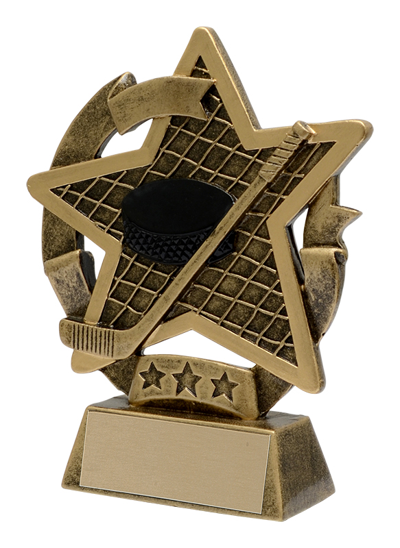 (image for) Star Gazer Hockey Award - 5"