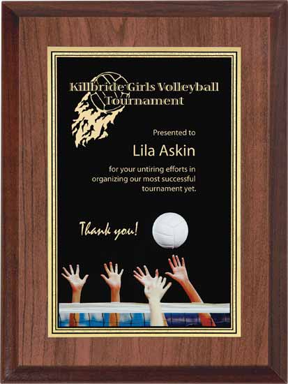 (image for) Volleyball Full Color Activity Plaque - 6" x 8"