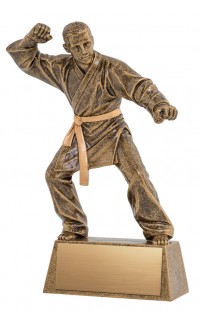 (image for) Pinnacle Martial Arts Trophy - 8 1/2"