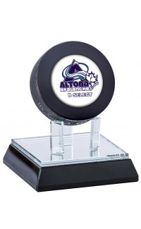 (image for) Glass Puck Display Stand