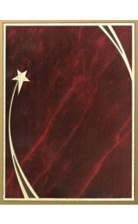 (image for) Shooting Star Plaque Red Plate - 7" x 9"