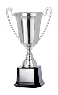 (image for) Moment Series Cup - 8" Silver