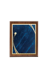 (image for) Shooting Star Plaque Blue Plate - 7" x 9"