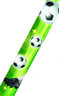 (image for) Spectrum Soccer Ribbons
