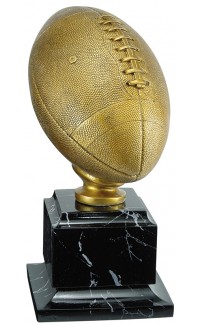 (image for) Pro Football Resin Award - 14"